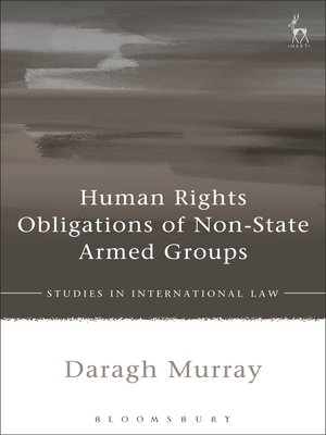 cover image of Human Rights Obligations of Non-State Armed Groups